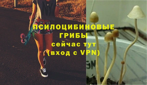 тгк Горняк