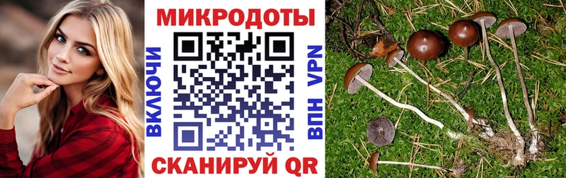Галлюциногенные грибы прущие грибы  Купить  Светогорск 